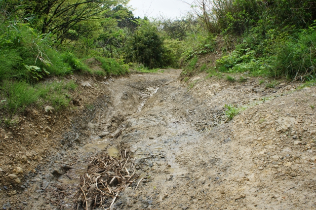 Takeoka_2012_05 Takeoka_2012_05