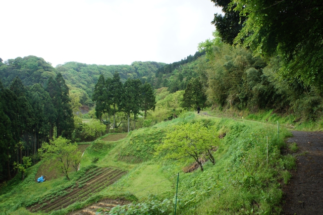 Takeoka_2012_03 Takeoka_2012_03